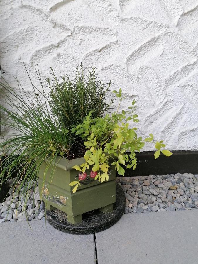 Enzian 2 - O Sole Mio Apartmán Bad Kleinkirchheim